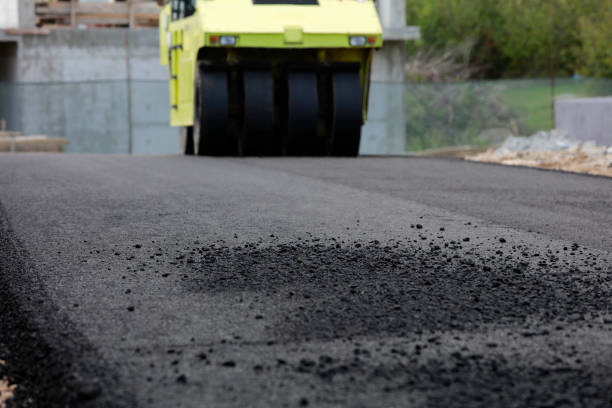 Best Best Driveway Pavers  in Donna, TX