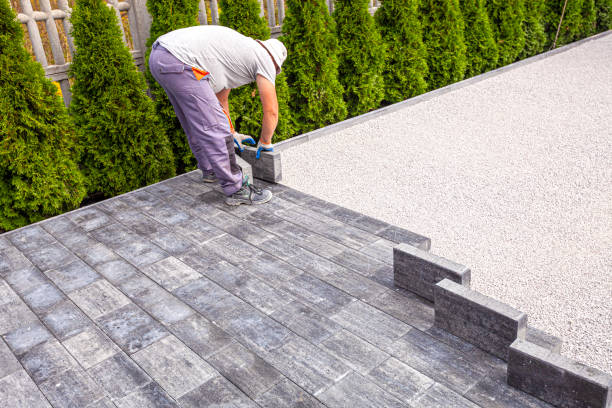 Best Driveway Pavers Near Me  in Donna, TX