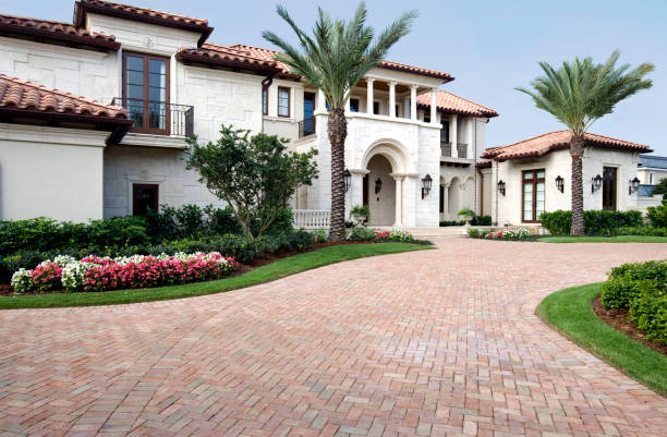 Best Driveway Paving Contractor  in Donna, TX