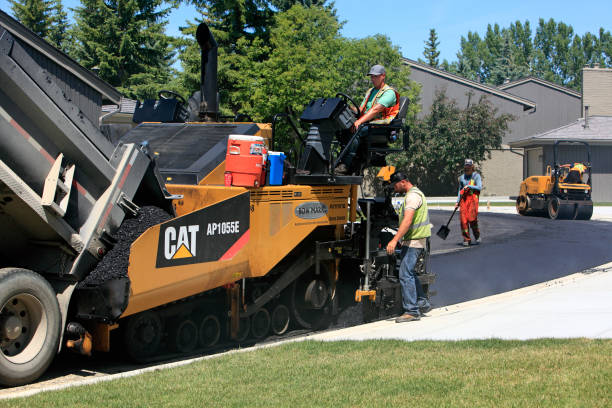 Best Driveway Paving Contractor  in Donna, TX